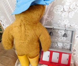 paddington 20 nude bk